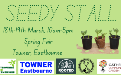 Seedy Stall at the Towner Gallery, 18th & 19th March